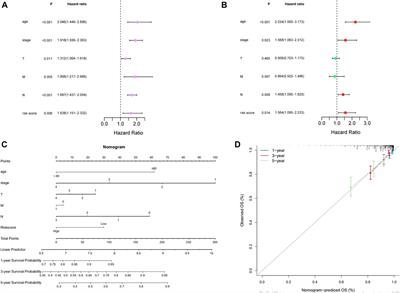 A novel lactate metabolism-related signature predicts prognosis and tumor immune microenvironment of breast cancer